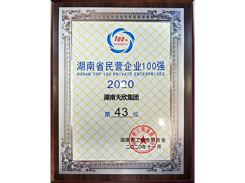2020年湖南省百強民營(yíng)企業(yè) 第43位