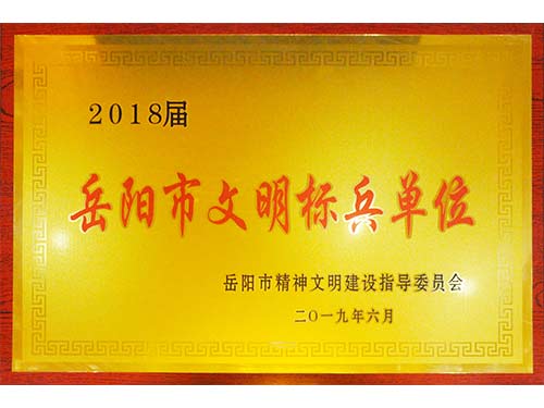 岳陽(yáng)市文明標兵單位-2018屆