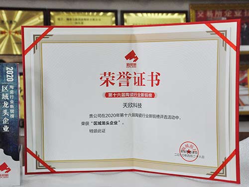 天欣科技-區域龍頭企業(yè)-榮譽(yù)證書(shū)與獎杯