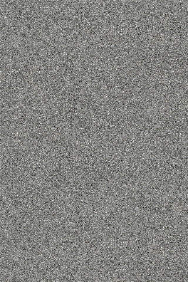 G2256920L 芝麻黑 荔枝面