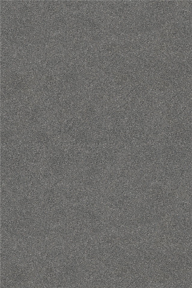 G2266920L 中國黑 荔枝面