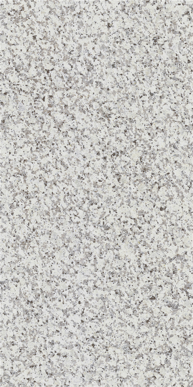 M03261218P 芭拉白