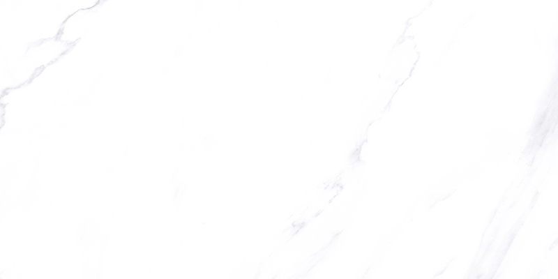 D84R010E-柔光 (2).jpg