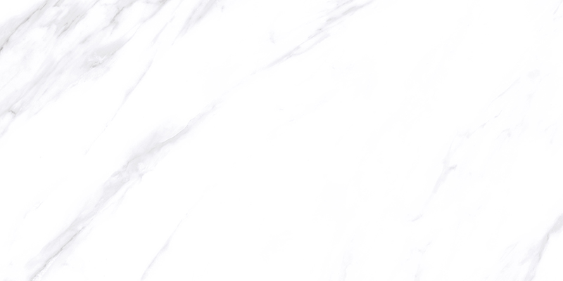 D84R010E-柔光 (5).jpg