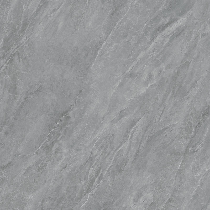 DP88018T-愛(ài)登灰