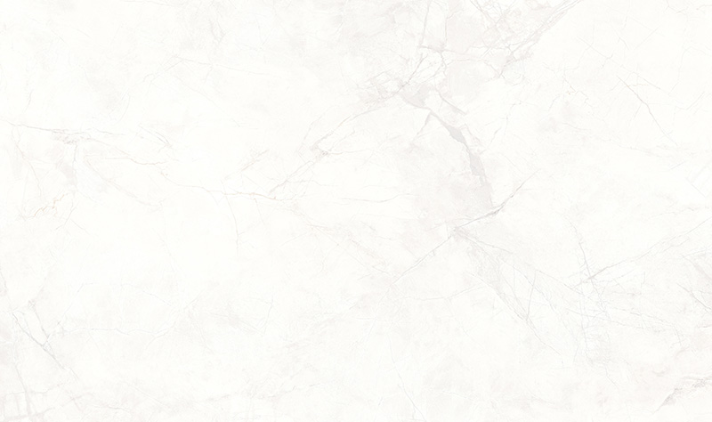 T8135P001-寒江雪 (4).jpg