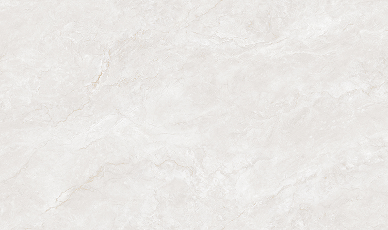 T8135P008-雅柏白 (2).jpg