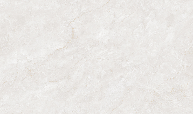 T8135P008-雅柏白 (3).jpg