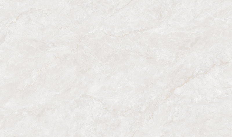 T8135P008-雅柏白 (4).jpg